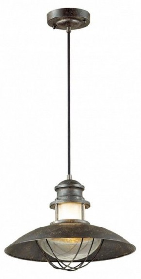 Подвесной светильник Odeon Light Dante 4164/1 в Ноябрьске - noyabrsk.mebel24.online | фото 2