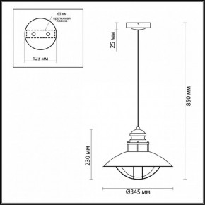 Подвесной светильник Odeon Light Dante 4164/1 в Ноябрьске - noyabrsk.mebel24.online | фото 3