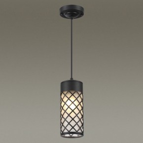 Подвесной светильник Odeon Light Dunes 4834/1 в Ноябрьске - noyabrsk.mebel24.online | фото 3
