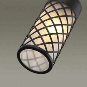 Подвесной светильник Odeon Light Dunes 4834/1 в Ноябрьске - noyabrsk.mebel24.online | фото 6