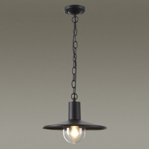 Подвесной светильник Odeon Light Furcadia 4833/1 в Ноябрьске - noyabrsk.mebel24.online | фото 3