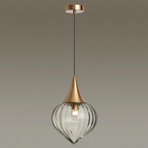 Подвесной светильник Odeon Light Kesta 4950/1 в Ноябрьске - noyabrsk.mebel24.online | фото 2