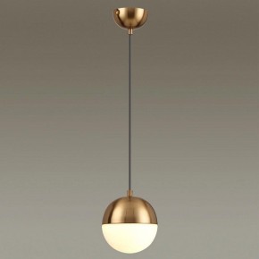 Подвесной светильник Odeon Light Pinga 4960/1 в Ноябрьске - noyabrsk.mebel24.online | фото 2