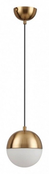 Подвесной светильник Odeon Light Pinga 4960/1 в Ноябрьске - noyabrsk.mebel24.online | фото 3