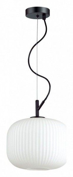 Подвесной светильник Odeon Light Roofi 4753/1 в Ноябрьске - noyabrsk.mebel24.online | фото 2