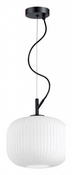 Подвесной светильник Odeon Light Roofi 4753/1 в Ноябрьске - noyabrsk.mebel24.online | фото 3