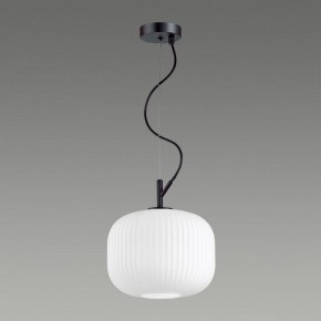 Подвесной светильник Odeon Light Roofi 4753/1 в Ноябрьске - noyabrsk.mebel24.online | фото 4