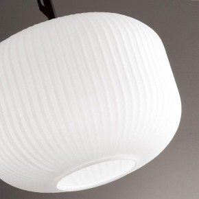 Подвесной светильник Odeon Light Roofi 4753/1 в Ноябрьске - noyabrsk.mebel24.online | фото 7