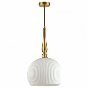 Подвесной светильник Odeon Light Runga 4765/1 в Ноябрьске - noyabrsk.mebel24.online | фото 2