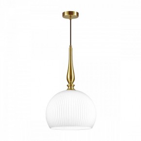 Подвесной светильник Odeon Light Runga 4765/1 в Ноябрьске - noyabrsk.mebel24.online | фото 3