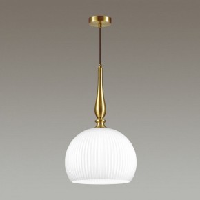 Подвесной светильник Odeon Light Runga 4765/1 в Ноябрьске - noyabrsk.mebel24.online | фото 4