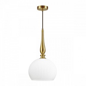 Подвесной светильник Odeon Light Runga 4766/1 в Ноябрьске - noyabrsk.mebel24.online | фото 3