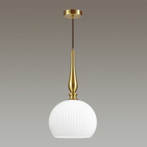 Подвесной светильник Odeon Light Runga 4766/1 в Ноябрьске - noyabrsk.mebel24.online | фото 4