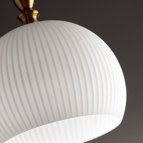 Подвесной светильник Odeon Light Runga 4766/1 в Ноябрьске - noyabrsk.mebel24.online | фото 8