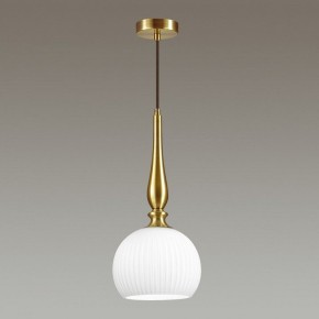 Подвесной светильник Odeon Light Runga 4767/1 в Ноябрьске - noyabrsk.mebel24.online | фото 4
