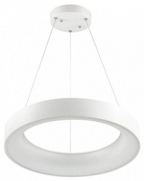 Подвесной светильник Odeon Light Sole 4066/50L в Ноябрьске - noyabrsk.mebel24.online | фото 2