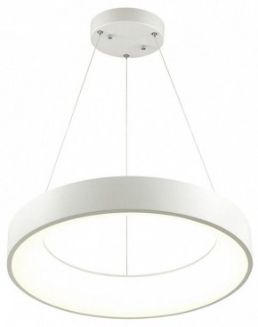 Подвесной светильник Odeon Light Sole 4066/50L в Ноябрьске - noyabrsk.mebel24.online | фото 3