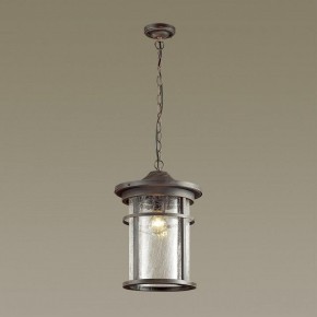 Подвесной светильник Odeon Light Virta 4044/1 в Ноябрьске - noyabrsk.mebel24.online | фото 4