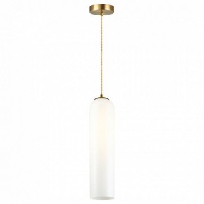Подвесной светильник Odeon Light Vosti 4642/1 в Ноябрьске - noyabrsk.mebel24.online | фото 2