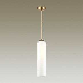 Подвесной светильник Odeon Light Vosti 4642/1 в Ноябрьске - noyabrsk.mebel24.online | фото 4