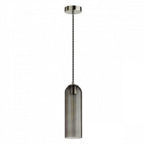Подвесной светильник Odeon Light Vosti 4805/1 в Ноябрьске - noyabrsk.mebel24.online | фото 2