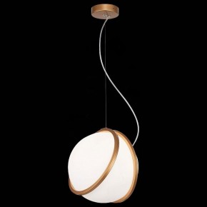 Подвесной светильник ST-Luce Acerra SL1181.353.01 в Ноябрьске - noyabrsk.mebel24.online | фото 4