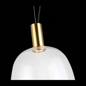 Подвесной светильник ST-Luce Allenore SL1582.313.01 в Ноябрьске - noyabrsk.mebel24.online | фото 9