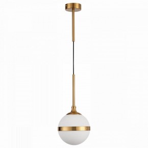 Подвесной светильник ST-Luce Arbe SL1157.303.01 в Ноябрьске - noyabrsk.mebel24.online | фото 2