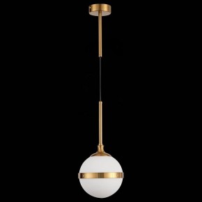 Подвесной светильник ST-Luce Arbe SL1157.303.01 в Ноябрьске - noyabrsk.mebel24.online | фото 4