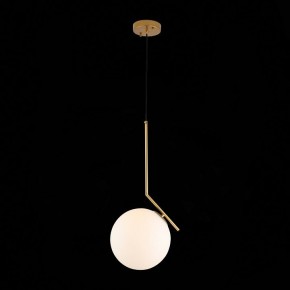 Подвесной светильник ST-Luce Codda SL1148.303.01 в Ноябрьске - noyabrsk.mebel24.online | фото 5
