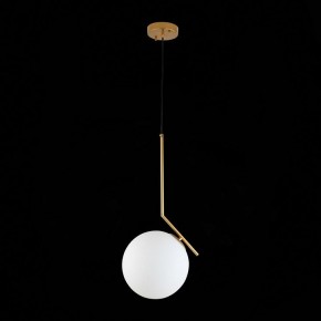 Подвесной светильник ST-Luce Codda SL1148.303.01 в Ноябрьске - noyabrsk.mebel24.online | фото 6