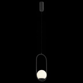 Подвесной светильник ST-Luce Donolo SL395.403.01 в Ноябрьске - noyabrsk.mebel24.online | фото 3