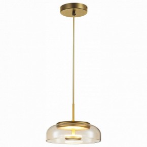 Подвесной светильник ST-Luce Lacio SL6002.203.01 в Ноябрьске - noyabrsk.mebel24.online | фото