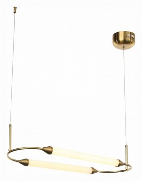 Подвесной светильник ST-Luce Olbia SL6004.313.02 в Ноябрьске - noyabrsk.mebel24.online | фото 4