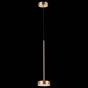 Подвесной светильник ST-Luce Pances SL6000.303.01 в Ноябрьске - noyabrsk.mebel24.online | фото 5