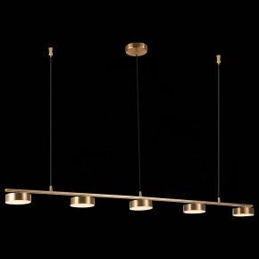 Подвесной светильник ST-Luce Pances SL6000.303.05 в Ноябрьске - noyabrsk.mebel24.online | фото 5