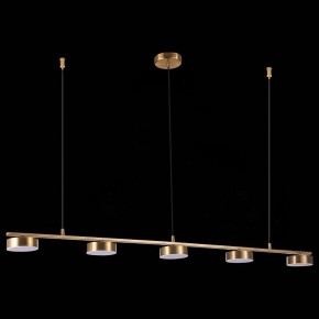 Подвесной светильник ST-Luce Pances SL6000.303.05 в Ноябрьске - noyabrsk.mebel24.online | фото 6