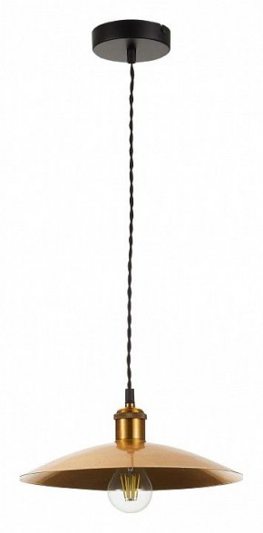 Подвесной светильник ST-Luce Romo SL1017.203.01 в Ноябрьске - noyabrsk.mebel24.online | фото 2