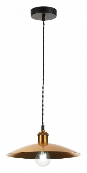 Подвесной светильник ST-Luce Romo SL1017.203.01 в Ноябрьске - noyabrsk.mebel24.online | фото 4