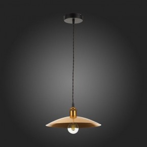 Подвесной светильник ST-Luce Romo SL1017.203.01 в Ноябрьске - noyabrsk.mebel24.online | фото 7