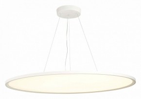 Подвесной светильник ST-Luce ST602 ST602.543.120 в Ноябрьске - noyabrsk.mebel24.online | фото 3