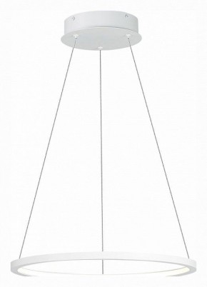 Подвесной светильник ST-Luce ST603 IN ST603.543.22 в Ноябрьске - noyabrsk.mebel24.online | фото 3