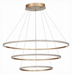 Подвесной светильник ST-Luce ST604 OUT ST604.243.114 в Ноябрьске - noyabrsk.mebel24.online | фото 2