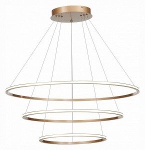 Подвесной светильник ST-Luce ST604 OUT ST604.243.114 в Ноябрьске - noyabrsk.mebel24.online | фото 3