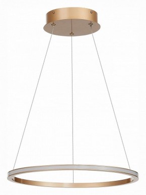 Подвесной светильник ST-Luce ST604 OUT ST604.243.22 в Ноябрьске - noyabrsk.mebel24.online | фото 2