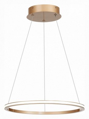 Подвесной светильник ST-Luce ST604 OUT ST604.243.22 в Ноябрьске - noyabrsk.mebel24.online | фото 3