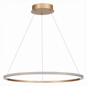Подвесной светильник ST-Luce ST604 OUT ST604.243.34 в Ноябрьске - noyabrsk.mebel24.online | фото 2