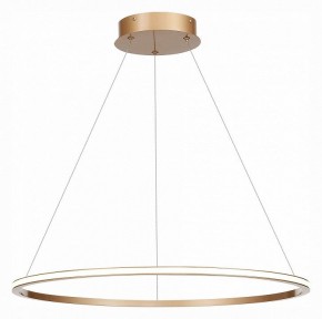 Подвесной светильник ST-Luce ST604 OUT ST604.243.34 в Ноябрьске - noyabrsk.mebel24.online | фото 3