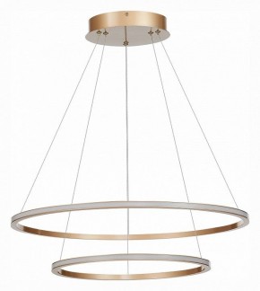 Подвесной светильник ST-Luce ST604 OUT ST604.243.56 в Ноябрьске - noyabrsk.mebel24.online | фото 2