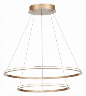 Подвесной светильник ST-Luce ST604 OUT ST604.243.56 в Ноябрьске - noyabrsk.mebel24.online | фото 3